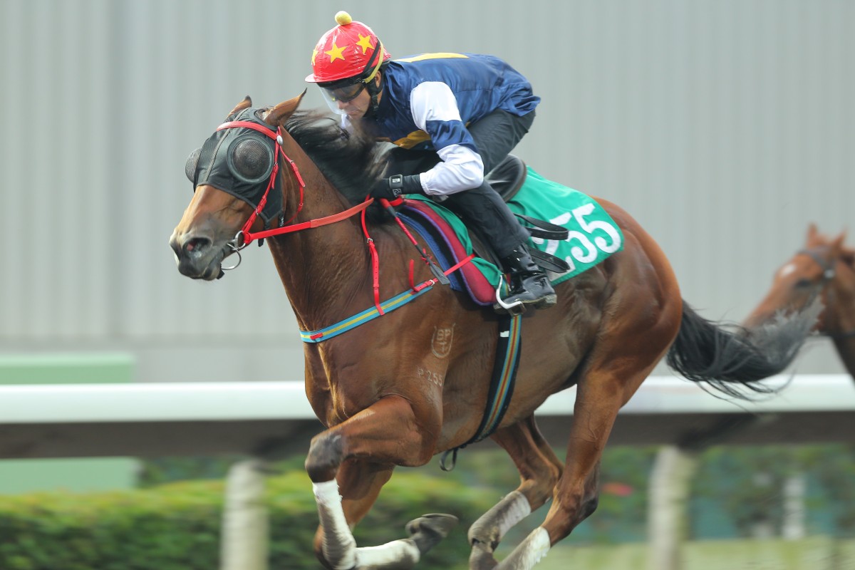 Luger finally makes his return to racing with his first attempt beyond 1,400m in the Class Two on Sunday. An irregular heart rhythm at his only run in November and then a fever in December set him back. Photos: Kenneth Chan