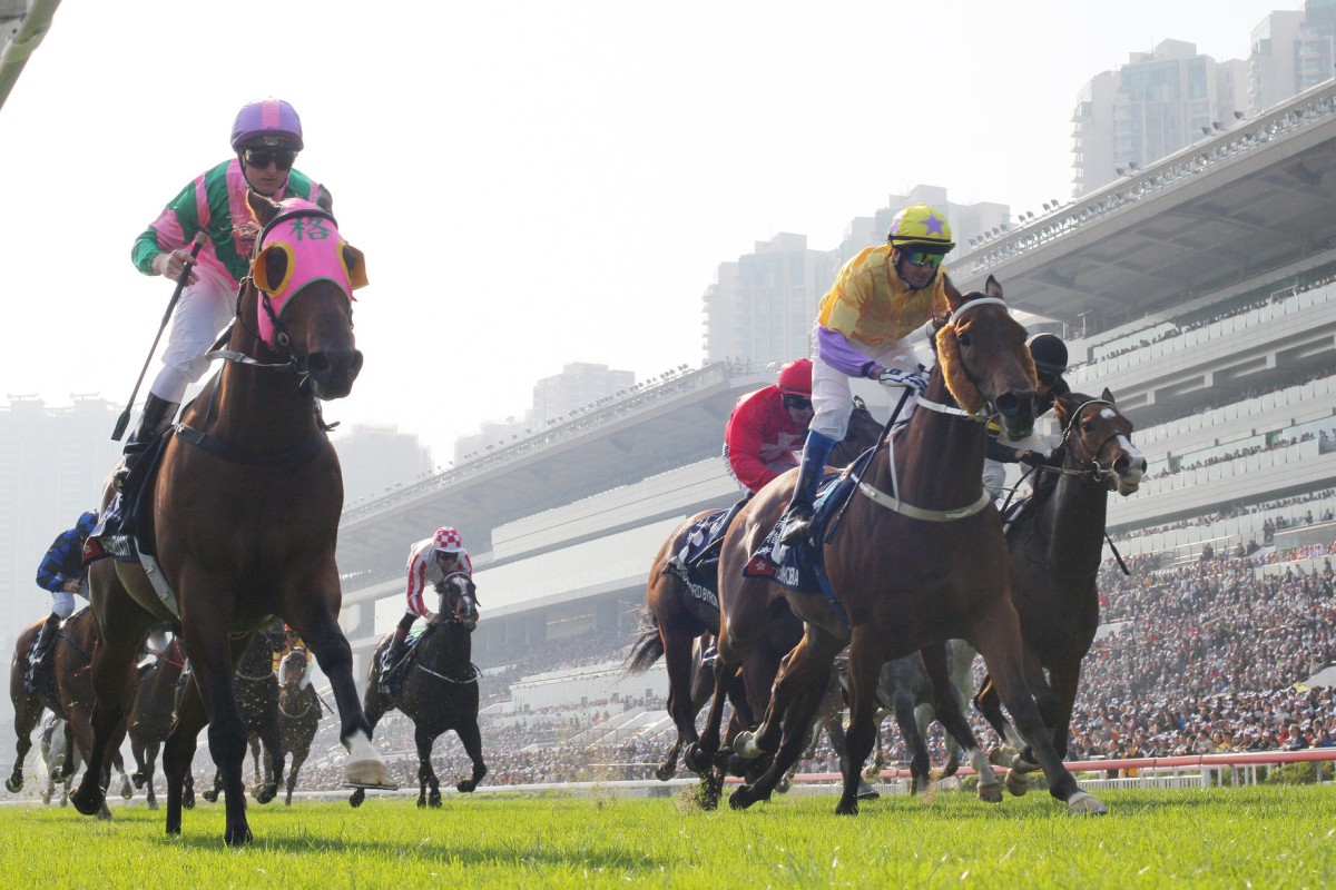 Aerovelocity (Zac Purton) wins the Hong Kong Sprint in December. He can add another Group One win in today's Takamatsunomiya Kinen.Photo: Kenneth Chan