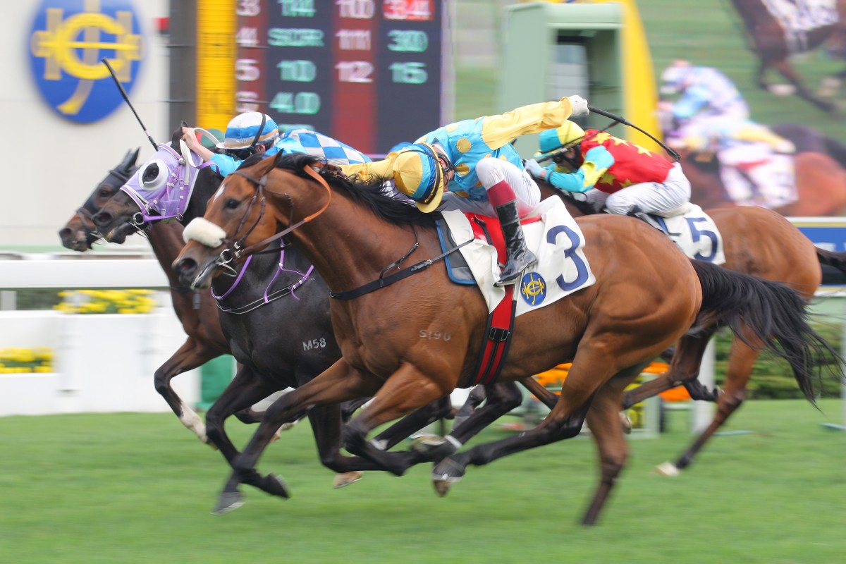 Take To The Limit prevails in a tight finish to the Kowloon Cricket Club Centenary Cup. Photo: Kenneth Chan