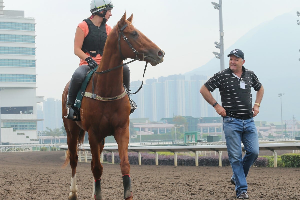 Trainer David Hayes keeps an eye on QE II entrant Criterion after a gallop on the all-weather track at Sha Tin on Saturday. Photos: Kenneth Chan
