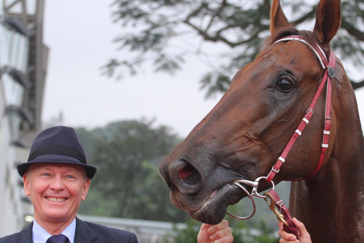 Trainer John Moore says Able Friend is a "gentle giant"and "nothing fazes him". Photos: Kenneth Chan 
                        