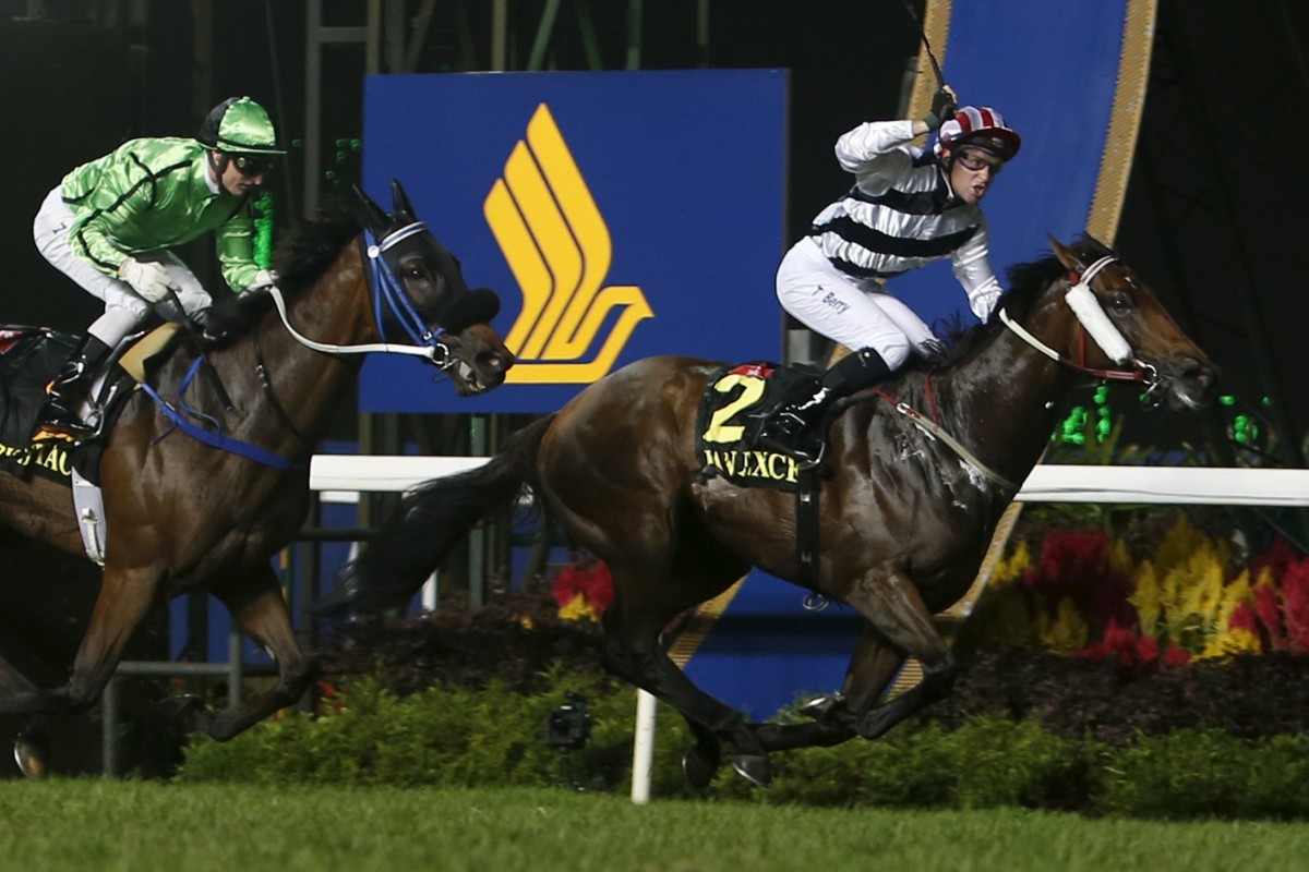 Who would bet against Dan Excel making it a Singapore hat-trick in 2016 as an eight-year-old? Photo: Reuters