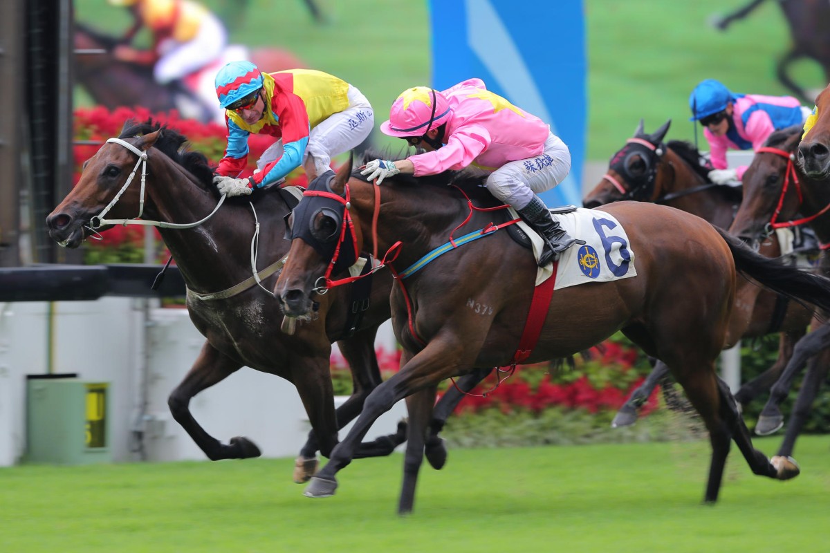 Full Glory (inside) is just edged out by Turbo Jewellery on Sunday. Photo: Kenneth Chan