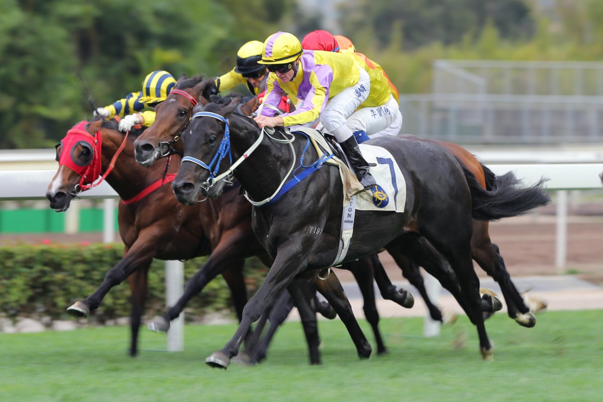 Renaissance Art breaks through for his first win at Sha Tin over 1,600m in March. He has since won at Happy Valley, and was placed at Group Three level over 2,400m last start. Photo: Kenneth Chan