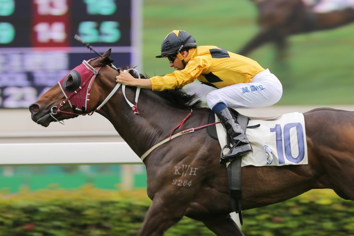 Fellow a Dashing addition for Moore in title race | HK Racing | South ...