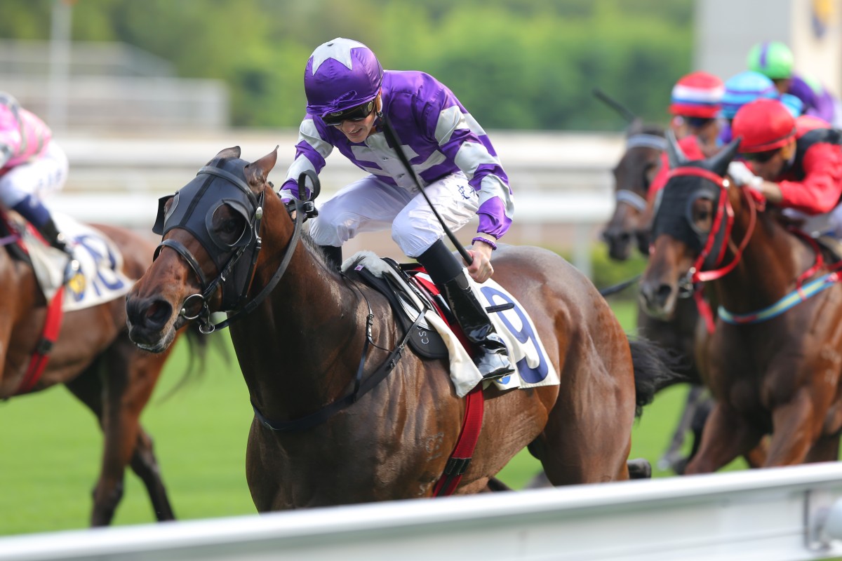 Chad Schofield gets the most out of blueblood Strathmore to win on opening day. Photo: Kenneth Chan