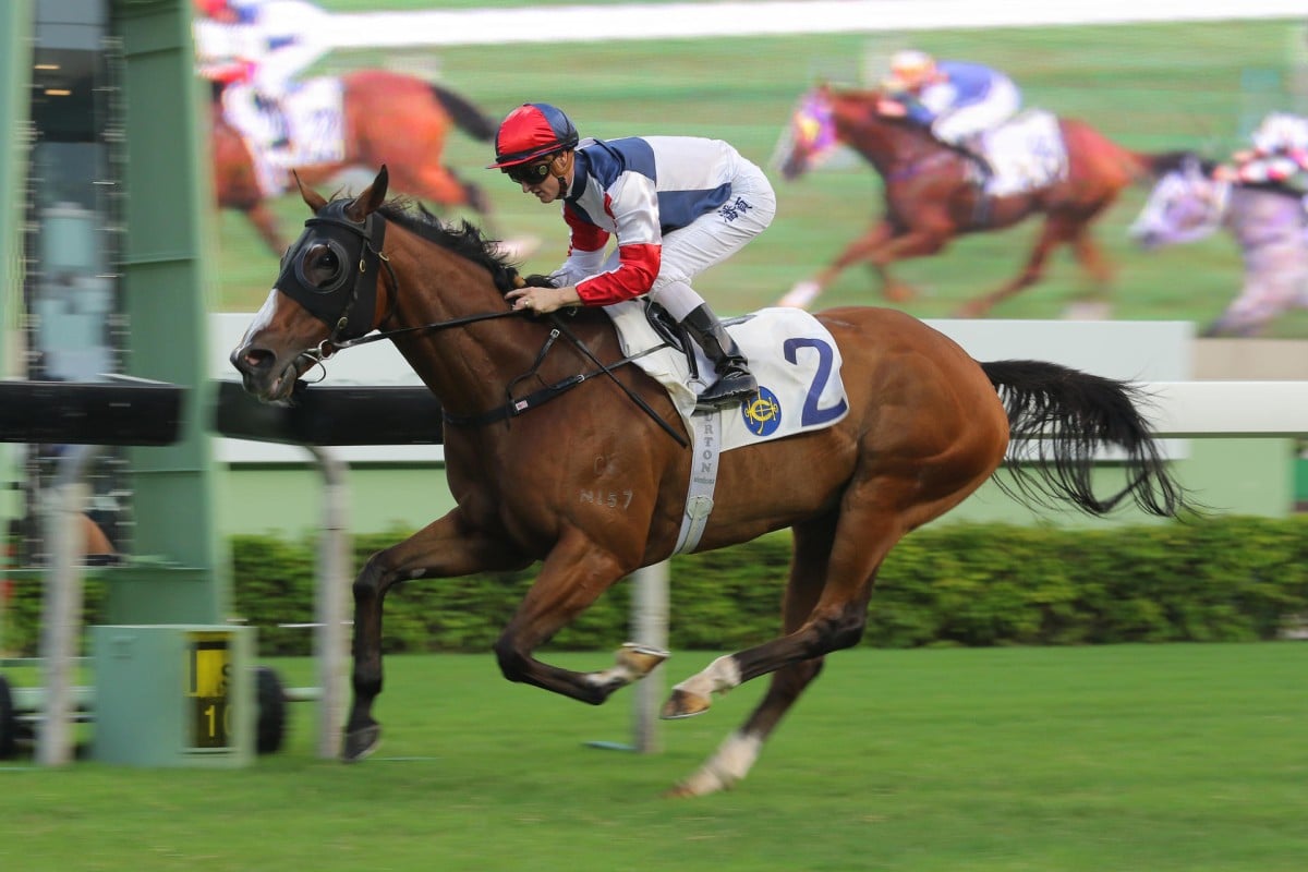 Zac Purton eases on Racing Hero to record a comfortable win, his first for the term. Photo: Kenneth Chan