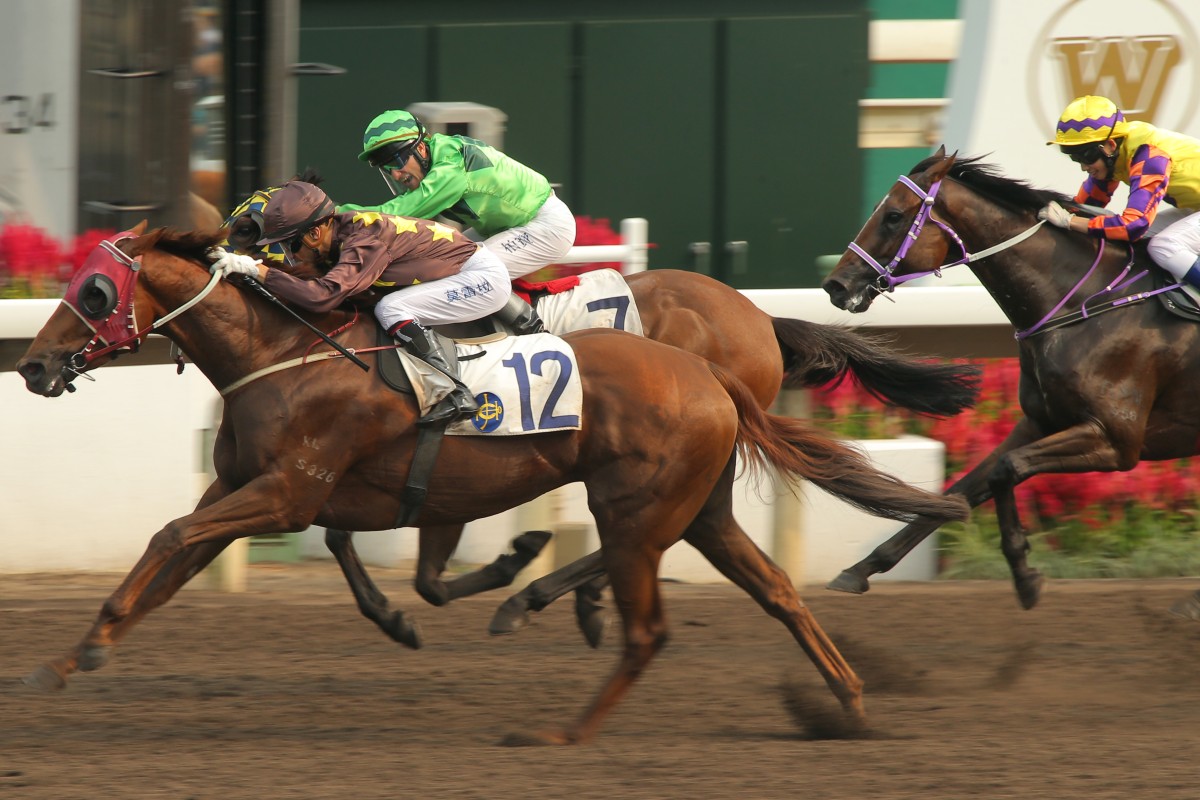 Sure Peace just gets the better of Elegance Klammer to give John Moore his first win for the season. Photo: Kenneth Chan