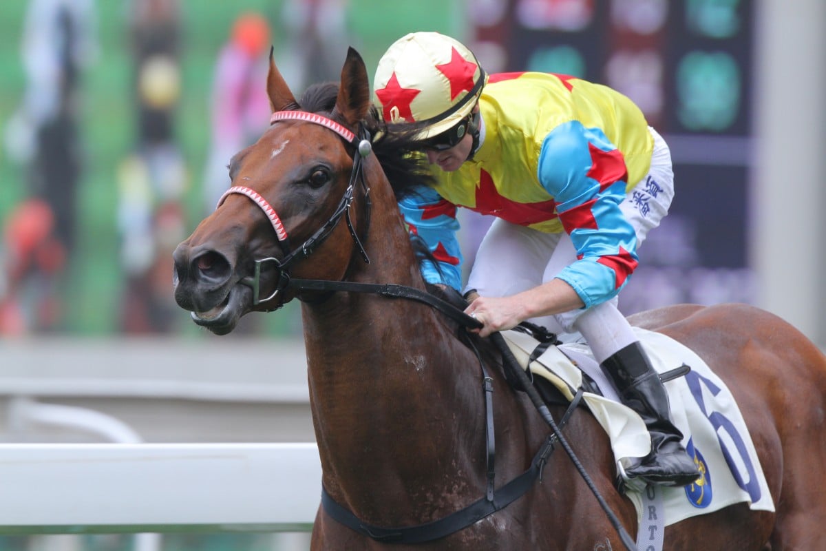 Happy Agility won on debut under Zac Purton, but Joao Moreira takes the ride in the Triple Trio final leg on Monday. Photo: Kenneth Chan