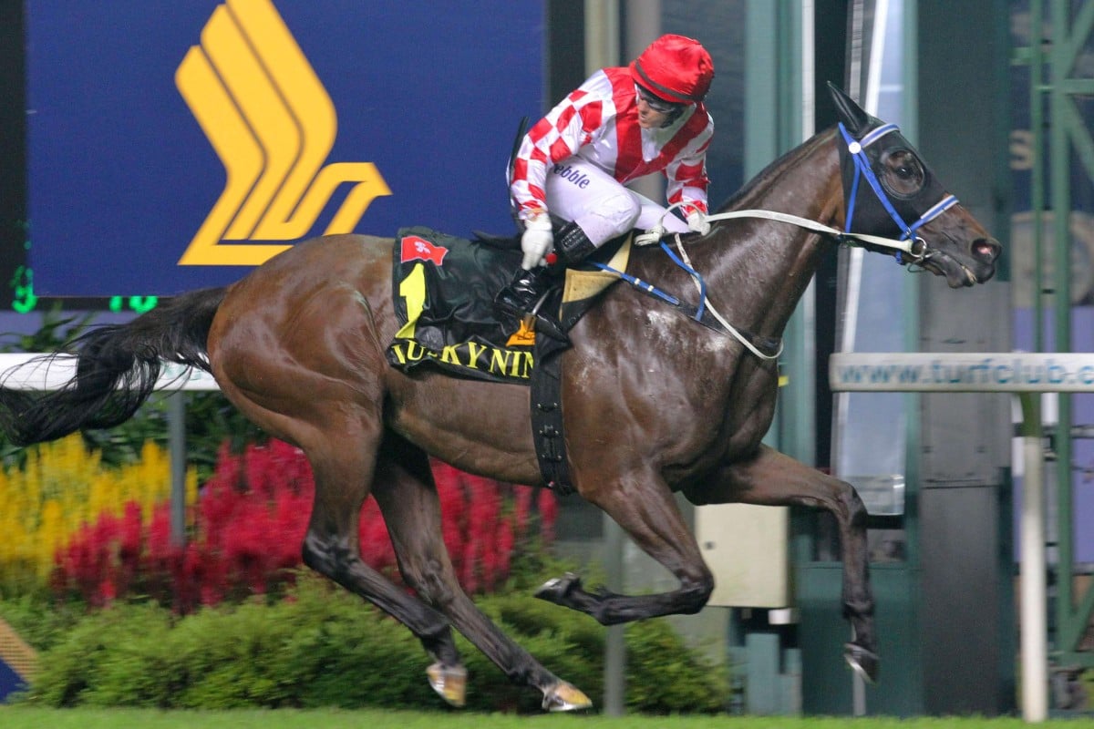 Lucky Nine, ridden by Brett Prebble and trained by Caspar Fownes, wins the KrisFlyer International Sprint in Singapore in May last year. Lucky Nine illustrated Hong Kong's domination of the Singapore feature races in the last three years. Photo: Kenneth Chan