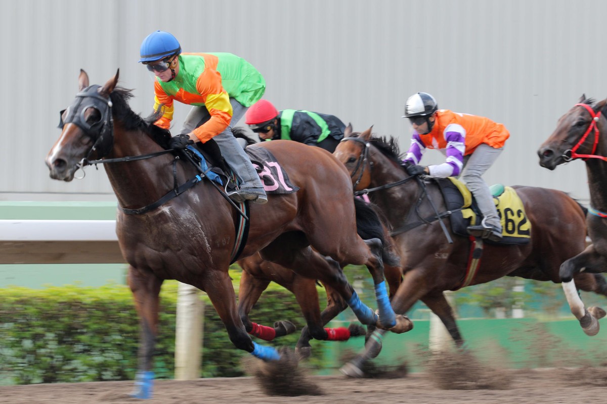 Jolly Jolly impressed at the trials before a solid second on Thursday. Photo: Kenneth Chan