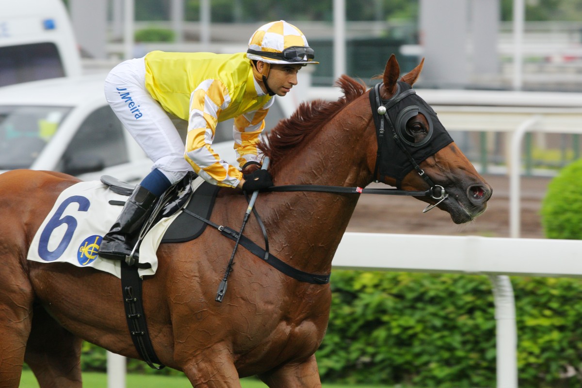 Penang Hall has race experience on his side as he takes on two promising 52-raters: Right Call and Happy Cooperation. Photo: Kenneth Chan