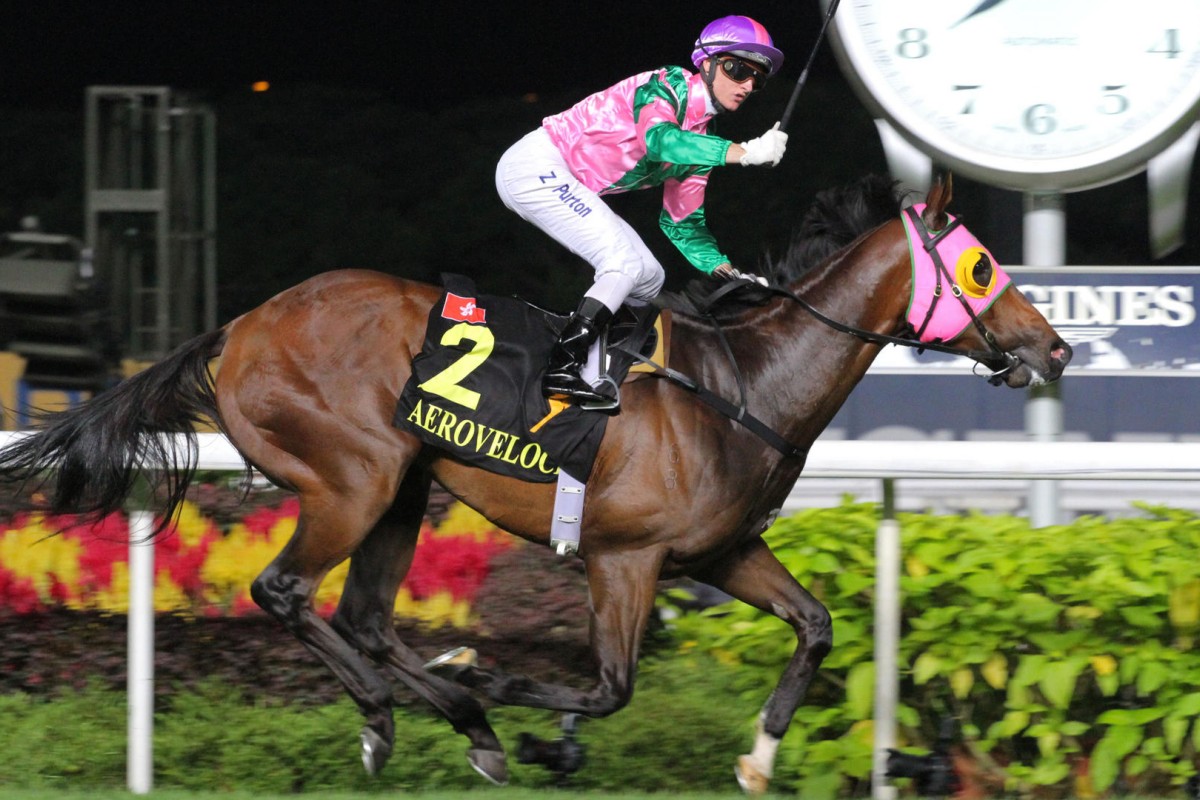 There is a beatable look about the home team in some divisions for the Hong Kong International Races, including the sprinters. Aerovelocity (pictured) is missing and Peniaphobia is still to show he is back to his best. Photos: Kenneth Chan