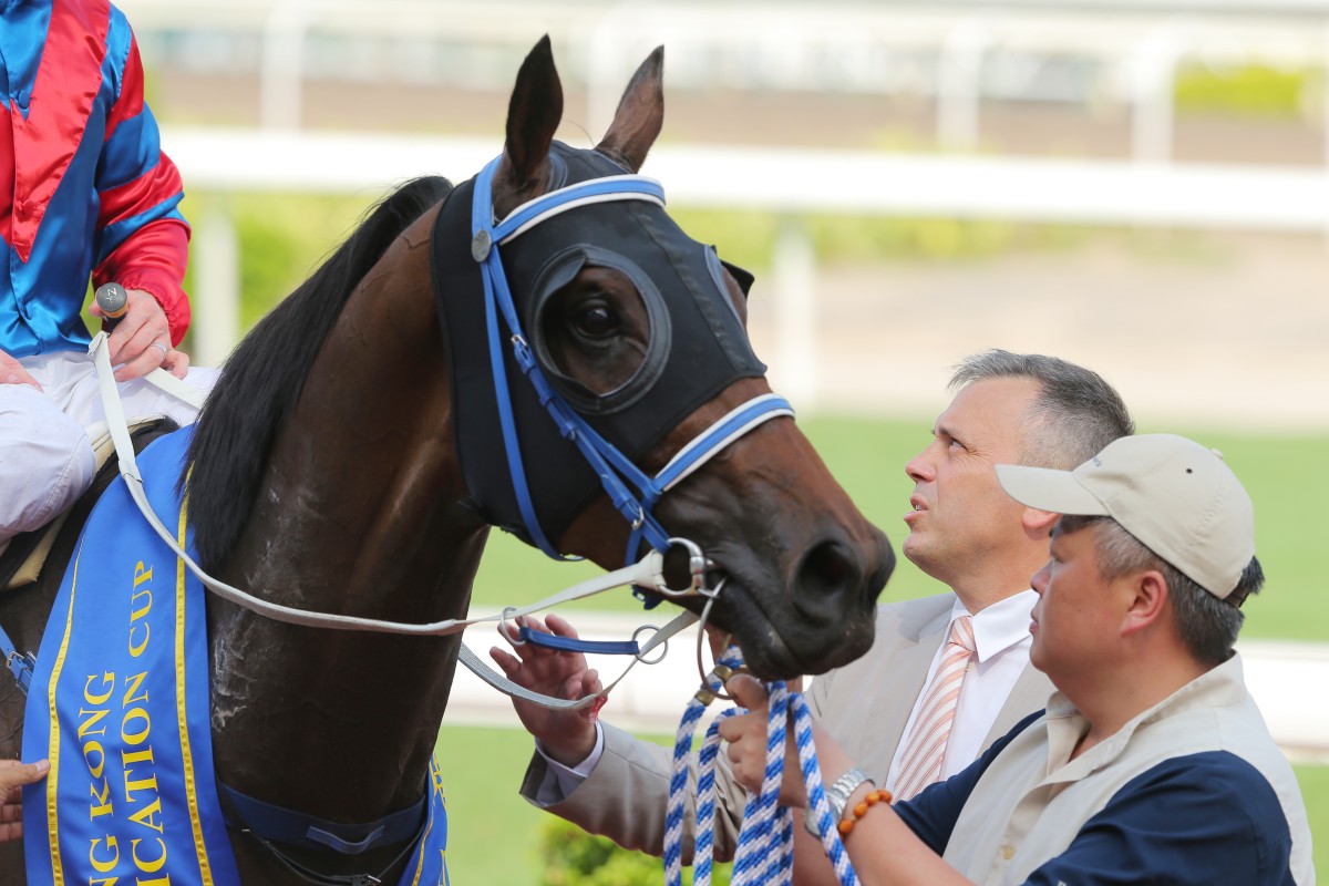 Caspar Fownes is looking to two Group One races in Japan with Gun Pit, who appears to have reached his ratings ceiling on dirt in Hong Kong with limited races on offer. Photo: Kenneth Chan