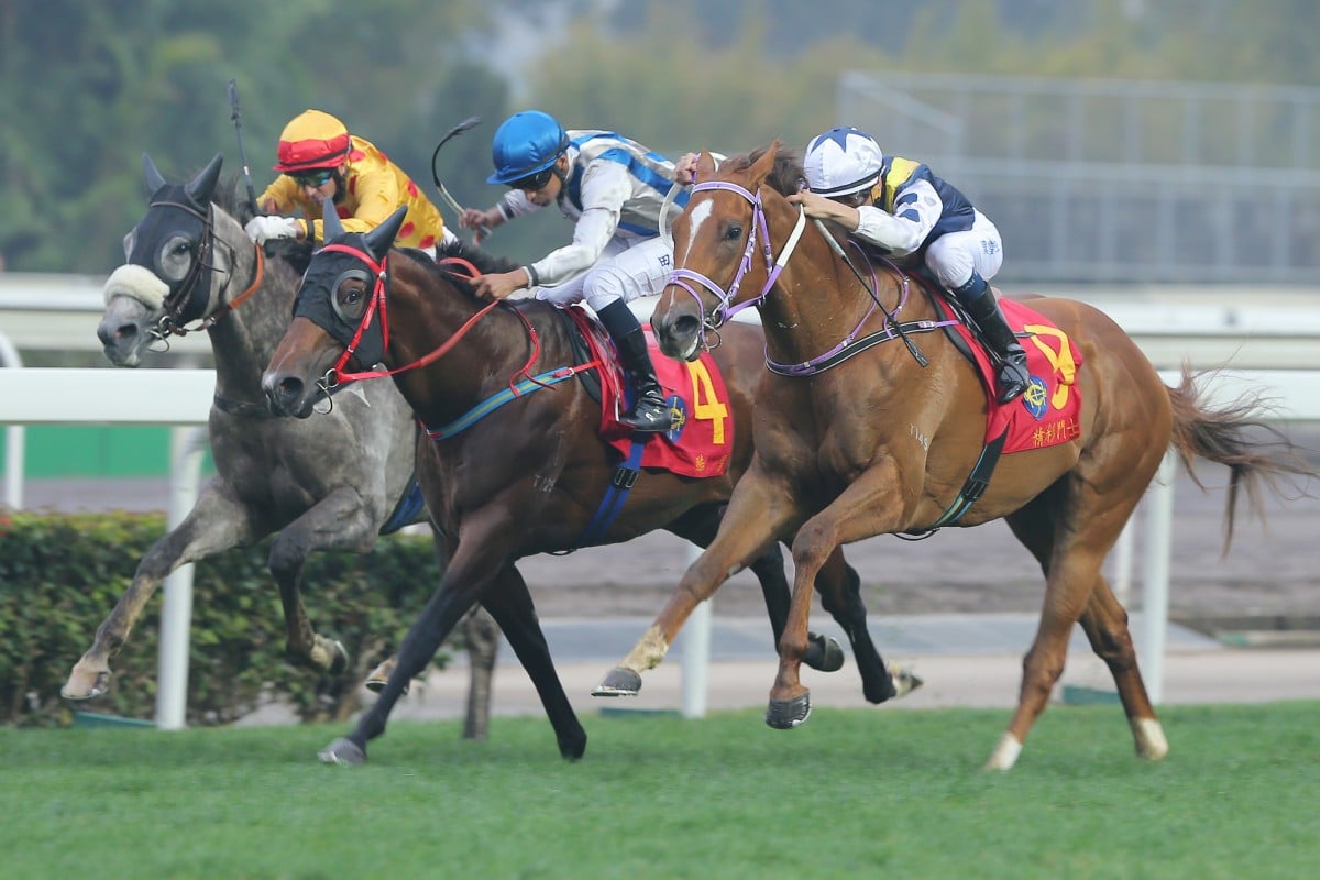 Redkirk Warrior looms up on the outside of Thunder Fantasy, but ultimately fails to get by, in February's Classic Cup. 