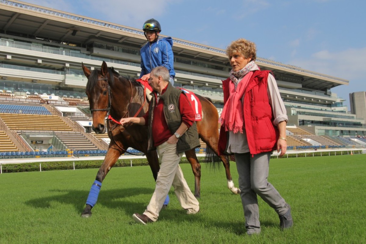 Team Cirrus Des Aigles have become annual visitors to Sha Tin, and this year is no exception - albeit with a bit of a twist this time around. Photo: Kenneth Chan