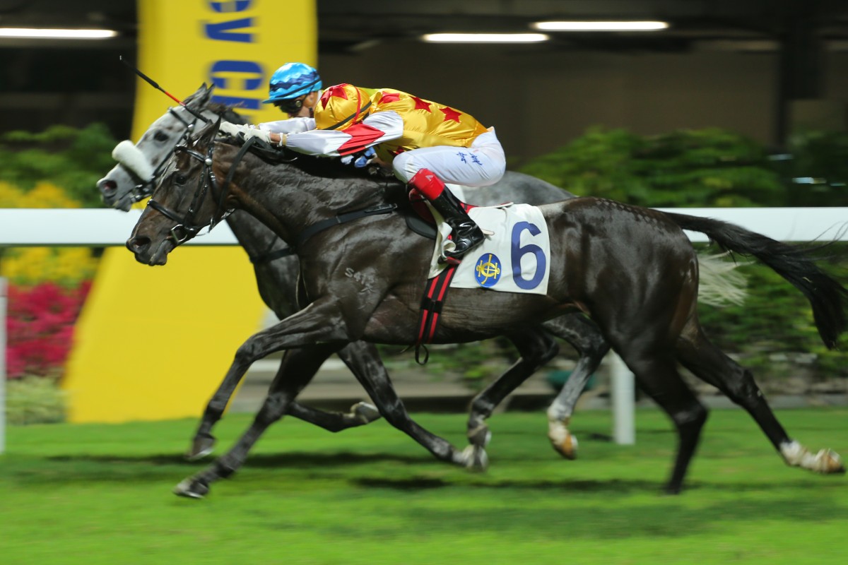 Monsieur Mogok just edged out Kitaya last start and can make it two in a row. Photo: Kenneth Chan