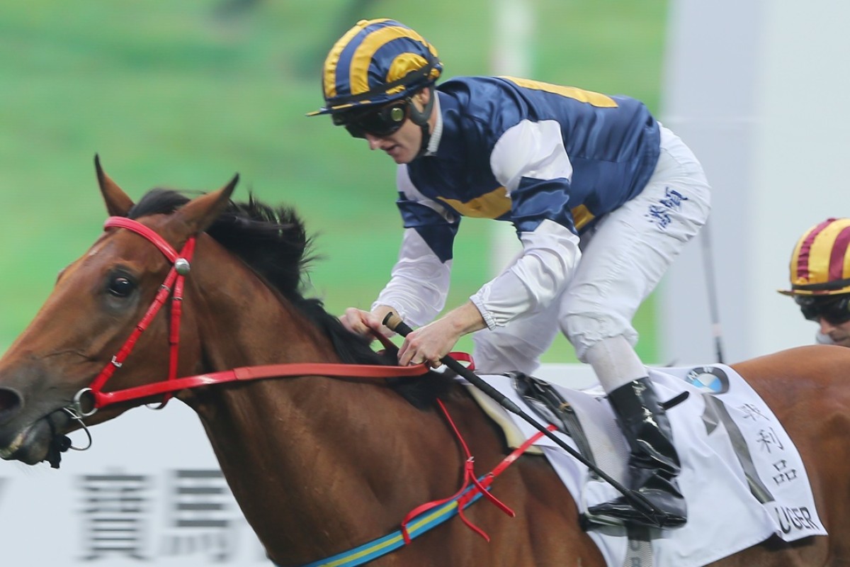 Luger won the Hong Kong Derby in March. He is set to run in the Stewards’ Cup first-up in January. Photo: Kenneth Chan