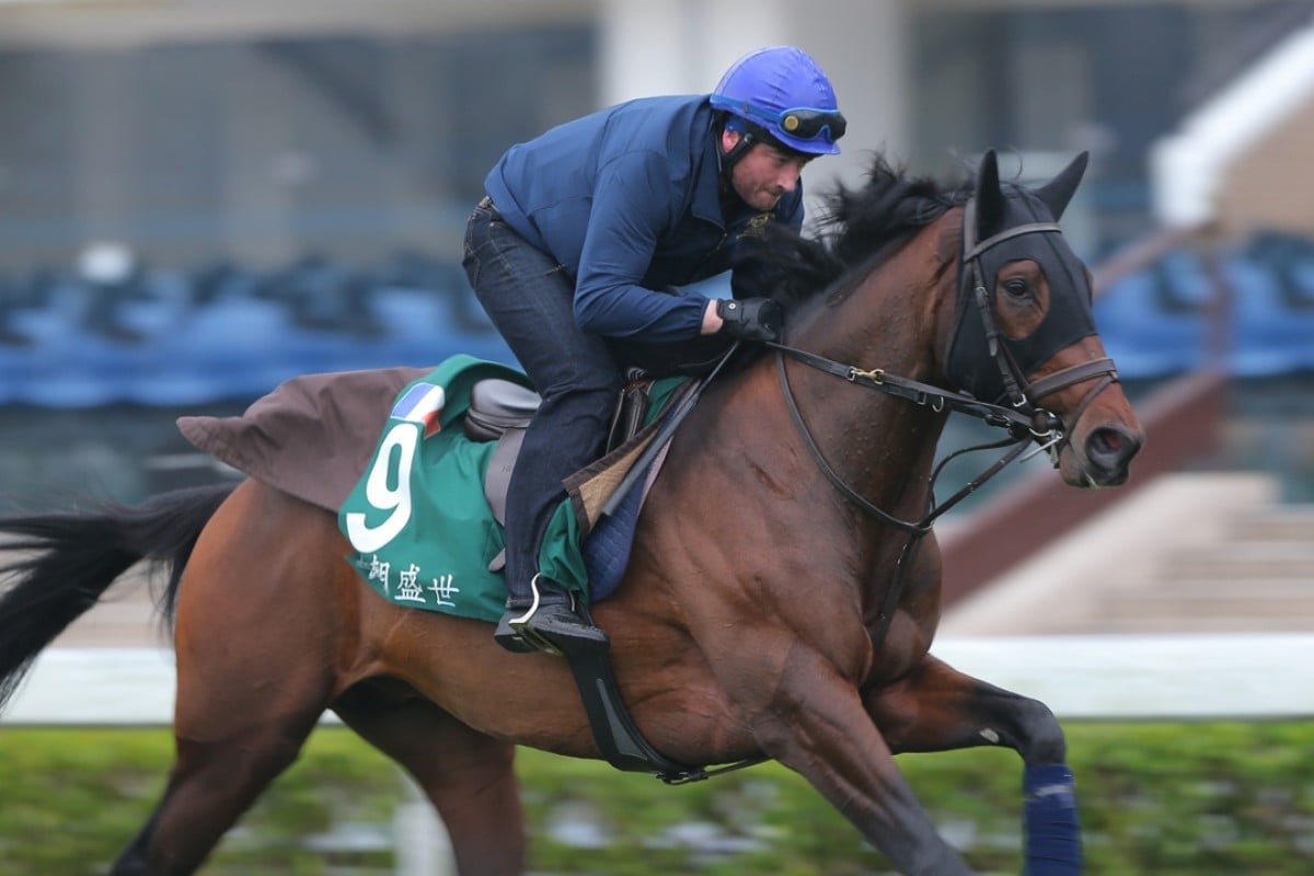 Ming Dynasty faces a big test in the Hong Kong Vase on Sunday. Photo: Kenneth Chan