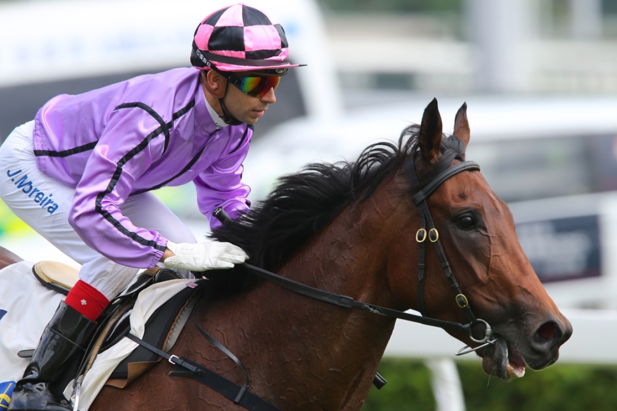 Who Else But You can win again in the middle leg of the Triple Trio for Joao Moreira and Paul O’Sullivan. Photo: Kenneth Chan