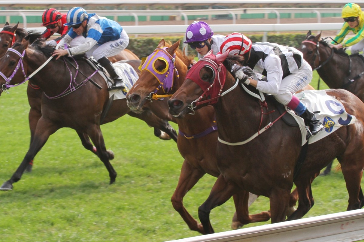 Happy Meteor may have won, nearest to the outside rail, but Radiant Bunny – in the red colours up the centre of the track – caught the eye resuming. Photo: Kenneth Chan