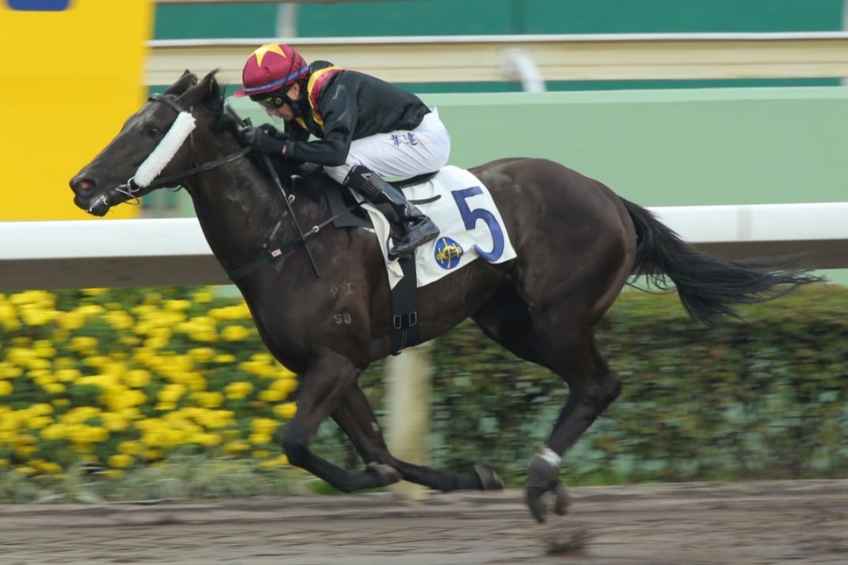 Master Kochanwong races away for a comfortable first-up win under Douglas Whyte. Photo: Kenneth Chan