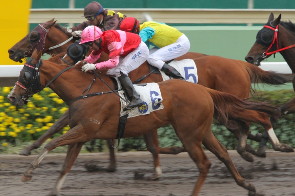 True Comment has the last word for Neil Callan on the all-weather track. Photos: Kenneth Chan