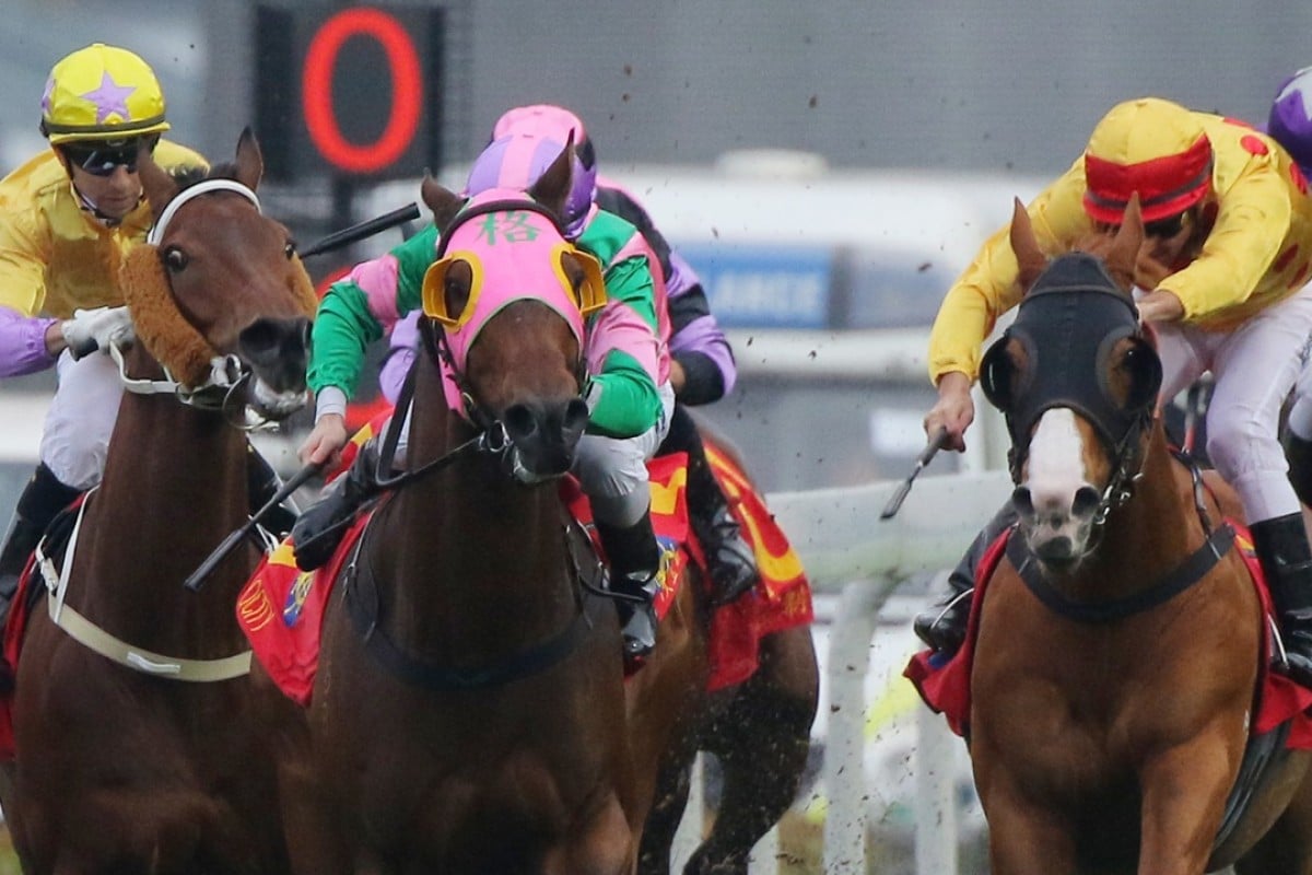 Aerovelocity (Zac Purton) hangs in towards the rail, collecting Peniaphobia (Joao Moreira) on his inside, as the champion sprinter returns to win the Centenary Sprint Cup. Photo: Kenneth Chan