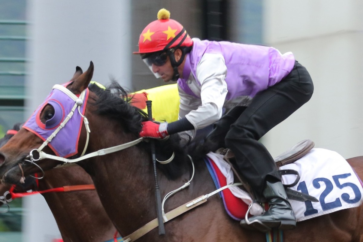 General Sherman, pictured in a trial, could end up being a Derby contender in just a few weeks, but he caught the eye over 1,000m on Sunday. Photo: Kenneth Chan