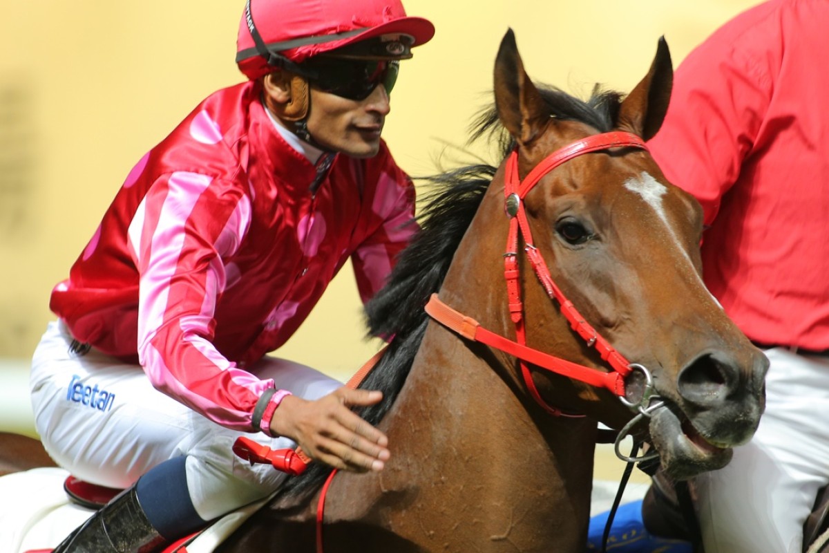 Karis Teetan returns aboard Mr Stunning after the Exceed And Excel gelding won on debut at Happy Valley on Wednesday night. Photo: Kenneth Chan