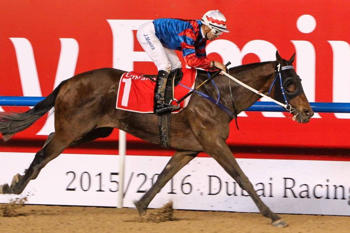 Gun Pit finishes second in the Al Maktoum Challenge Round Three, all but guaranteeing him a spot in the US$10m Dubai World Cup on March 26. Photo: HKJC