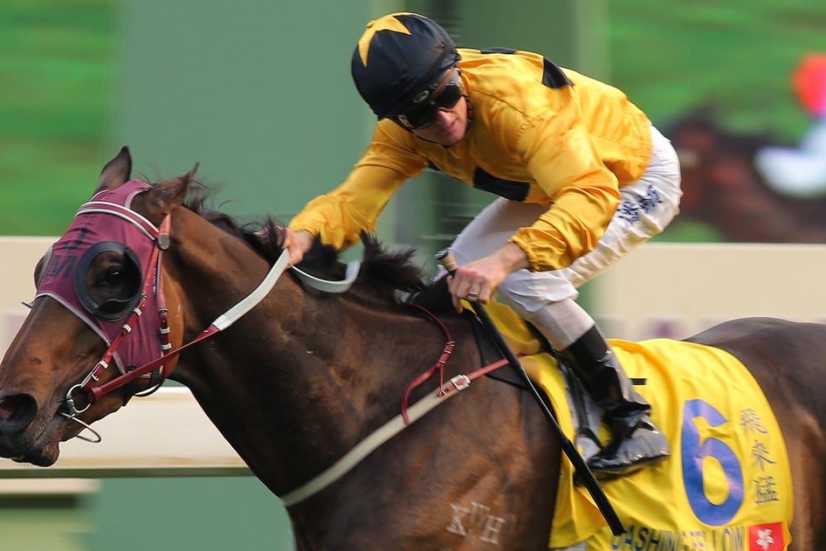 Dashing Fellow holds his rivals at bay to give Hong Kong its sixth straight win in the Hong Kong Macau Trophy, also the fourth interport feature for trainer John Moore. Photo: Kenneth Chan