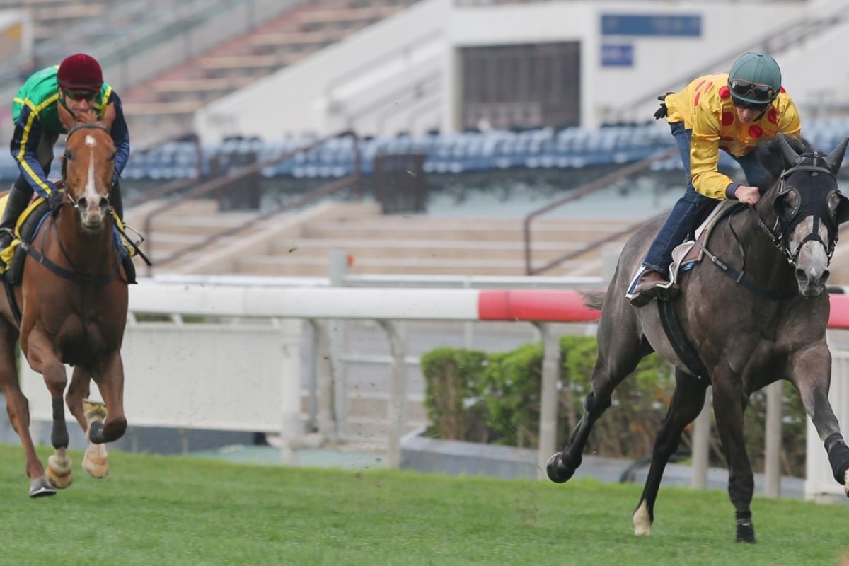 Consort (Chad Schofield) races away from Blizzard (Gerald Mosse) in a trial on Tuesday with the blinkers on to stamp his Hong Kong Derby credentials. Photo: Kenneth Chan
