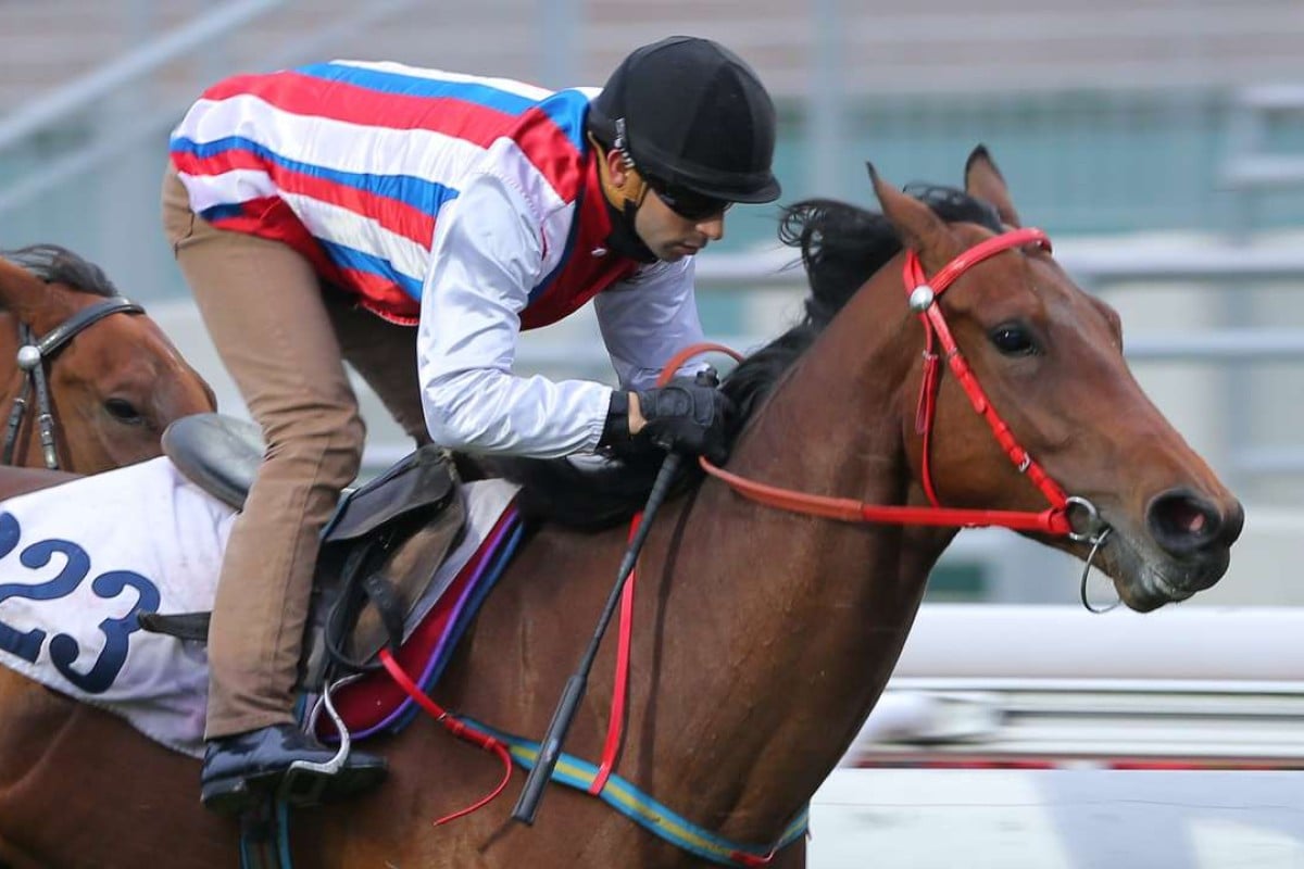 Volitation caught the eye with his third behind Confucius Spirit on Wednesday. Photo: Kenneth Chan