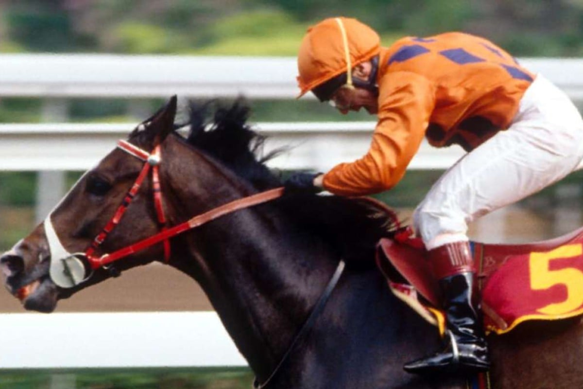 River Verdon was Hong Kong’s best galloper of the early 1990s, and became a trailblazer by becoming the first Hong Kong-trained horse to race outside the jurisdiction. Photo: SCMP Pictures