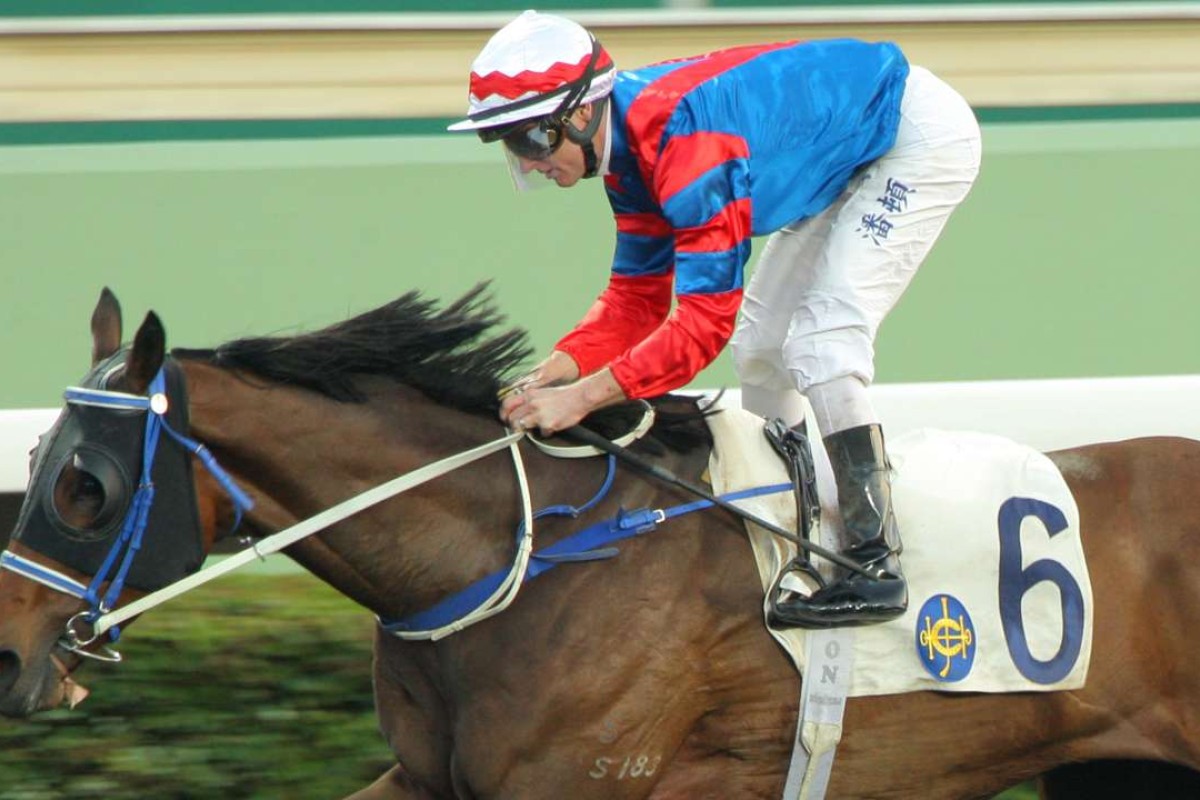 Gun Pit will be the first Hong Kong runner in the Dubai World Cup since Akeed Mofeed and Military Attack lined up in 2014. Photo: Kenneth Chan