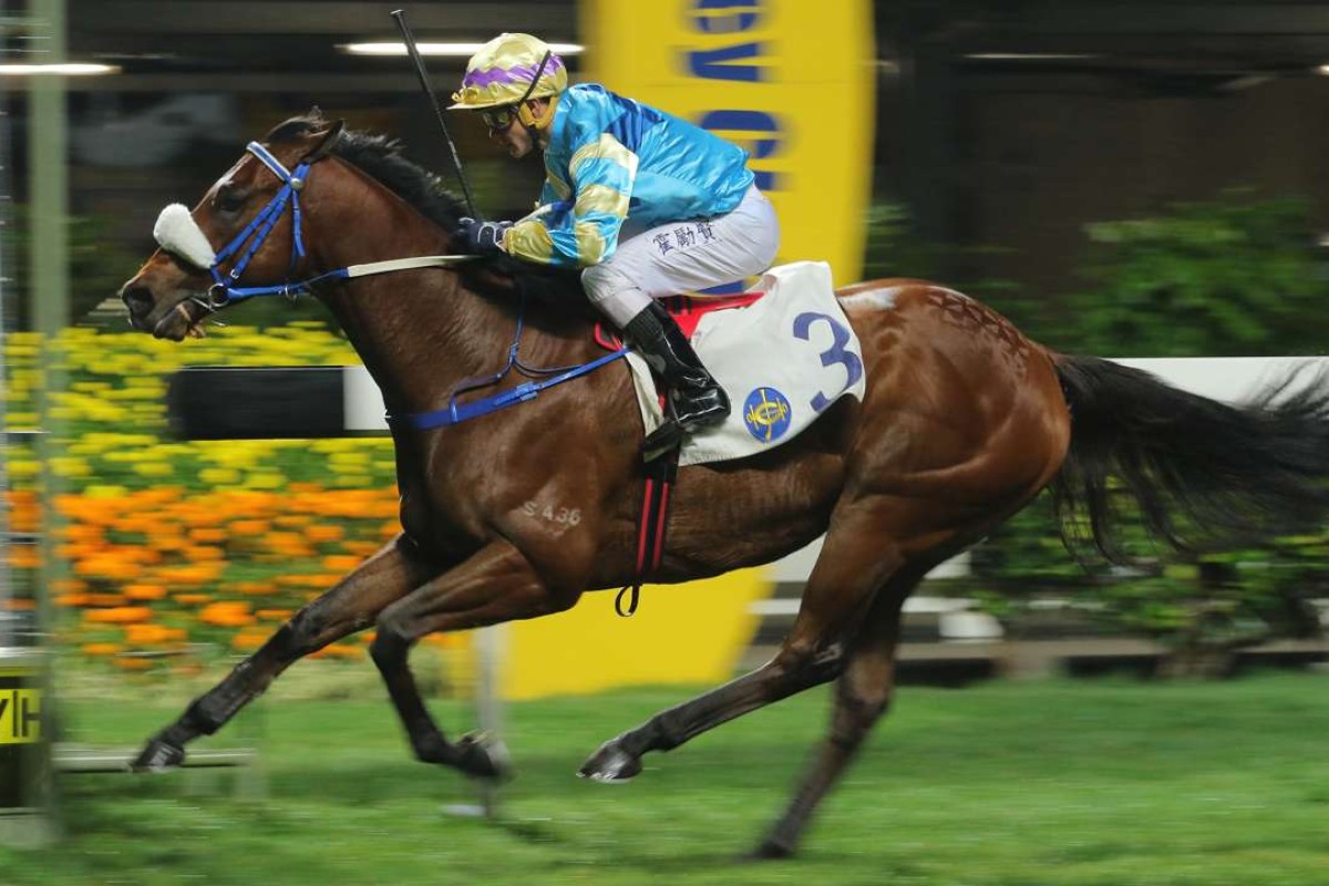 Smart Declaration looks well placed to return to the winner’s circle at Happy Valley on Wednesday night. Photo: Kenneth Chan