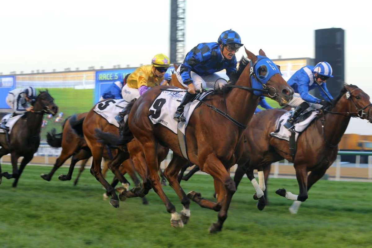 Australian warhorse Buffering, ridden by Damian Browne, wins the Al Quoz Sprint at Meydan Racecourse on Saturday, with Peniaphobia, ridden by Joao Moreira (in yellow silks), placing third. Photos: Kenneth Chan