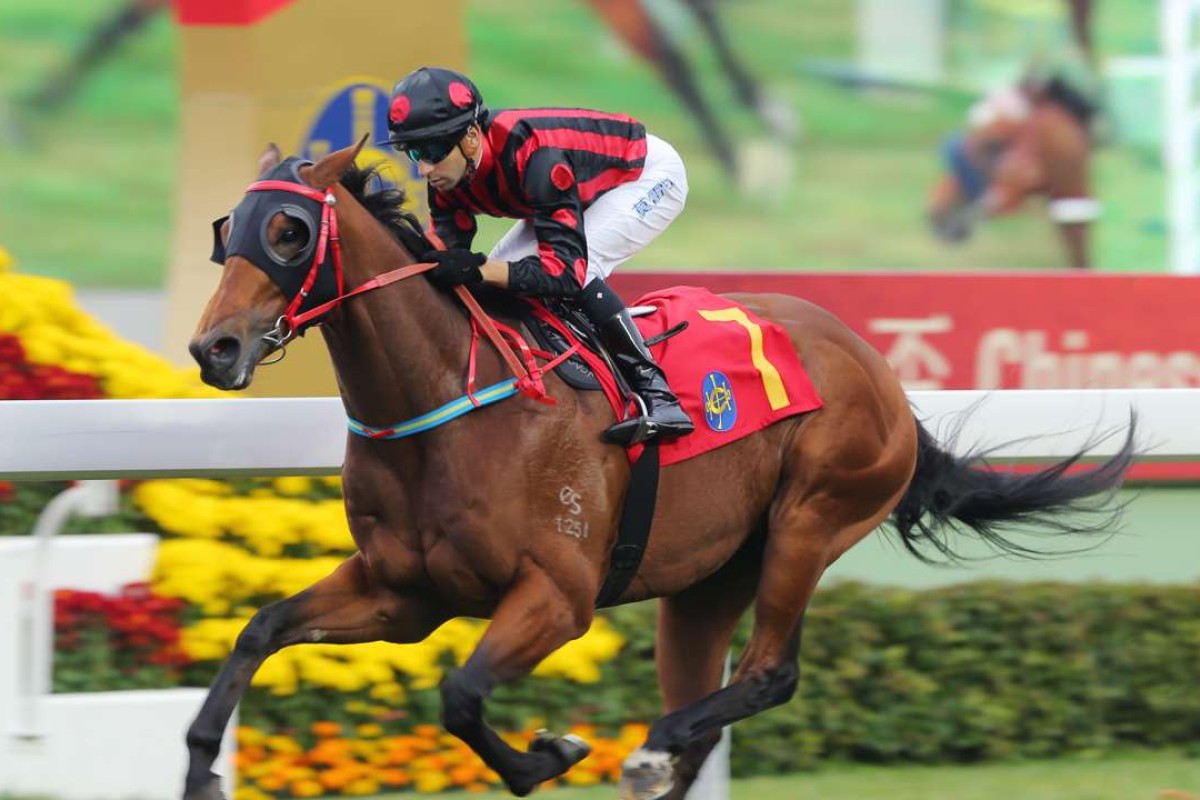 Joao Moreira will return aboard Thewizardofoz for the Chairman’s Prize Sprint in May. Photos: Kenneth Chan