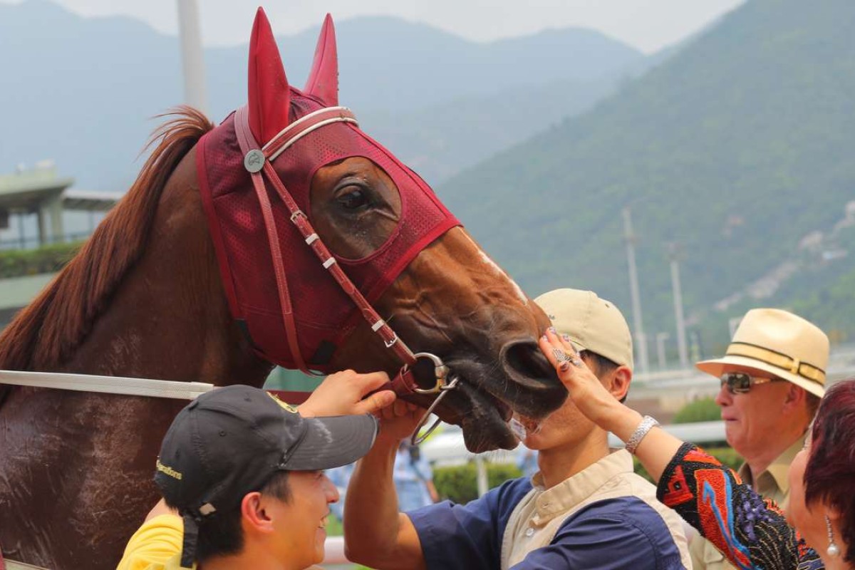Rapper Dragon’s Class One win has paved the way for him to tread a path towards the 2017 Hong Kong Derby. Photo: Kenneth Chan