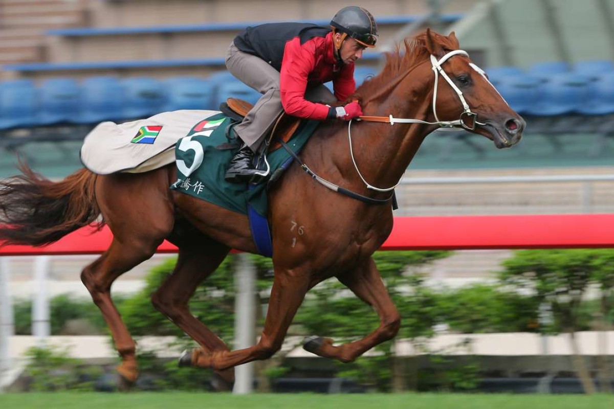 Douglas Whyte takes QE II Cup runner Ertijaal out for a breezy workout at Sha Tin on Tuesday. Photos: Kenneth Chan