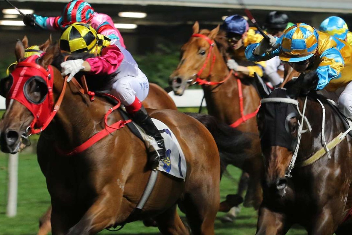 Lucky Profit looks set to win again in the opening leg of the Triple Trio, with Mr Kool his main danger. Photo: Kenneth Chan