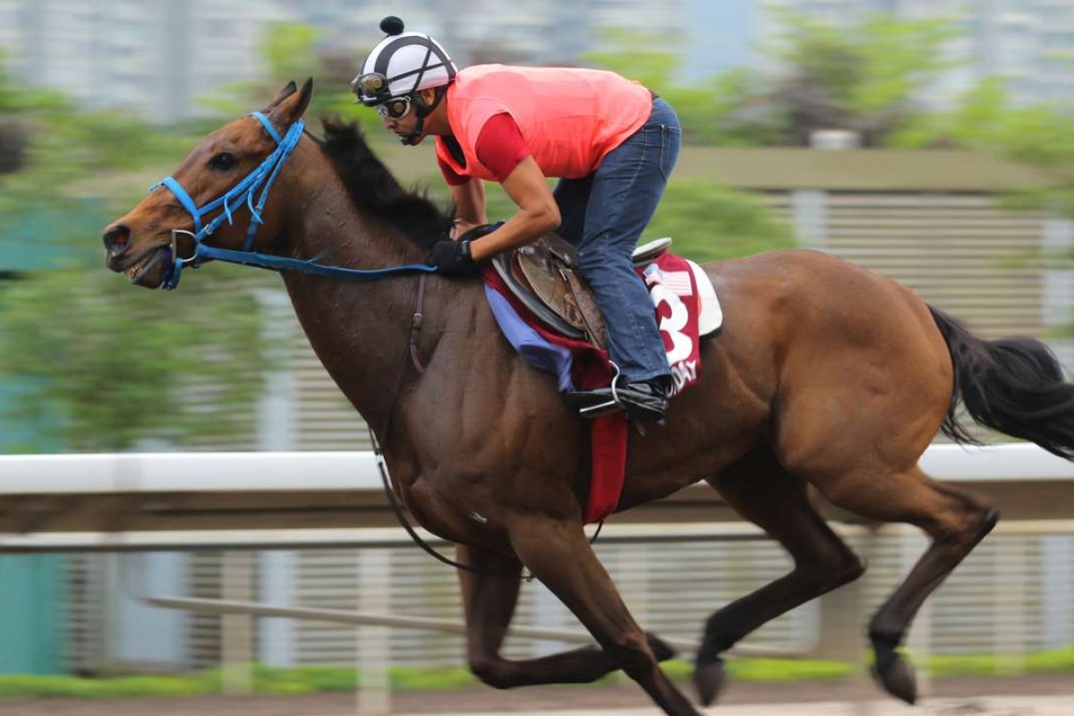 Mongolian Saturday in action at the weekend, when his trainer thought he wasn’t given a testing enough effort. Photo: Kenneth Chan  
