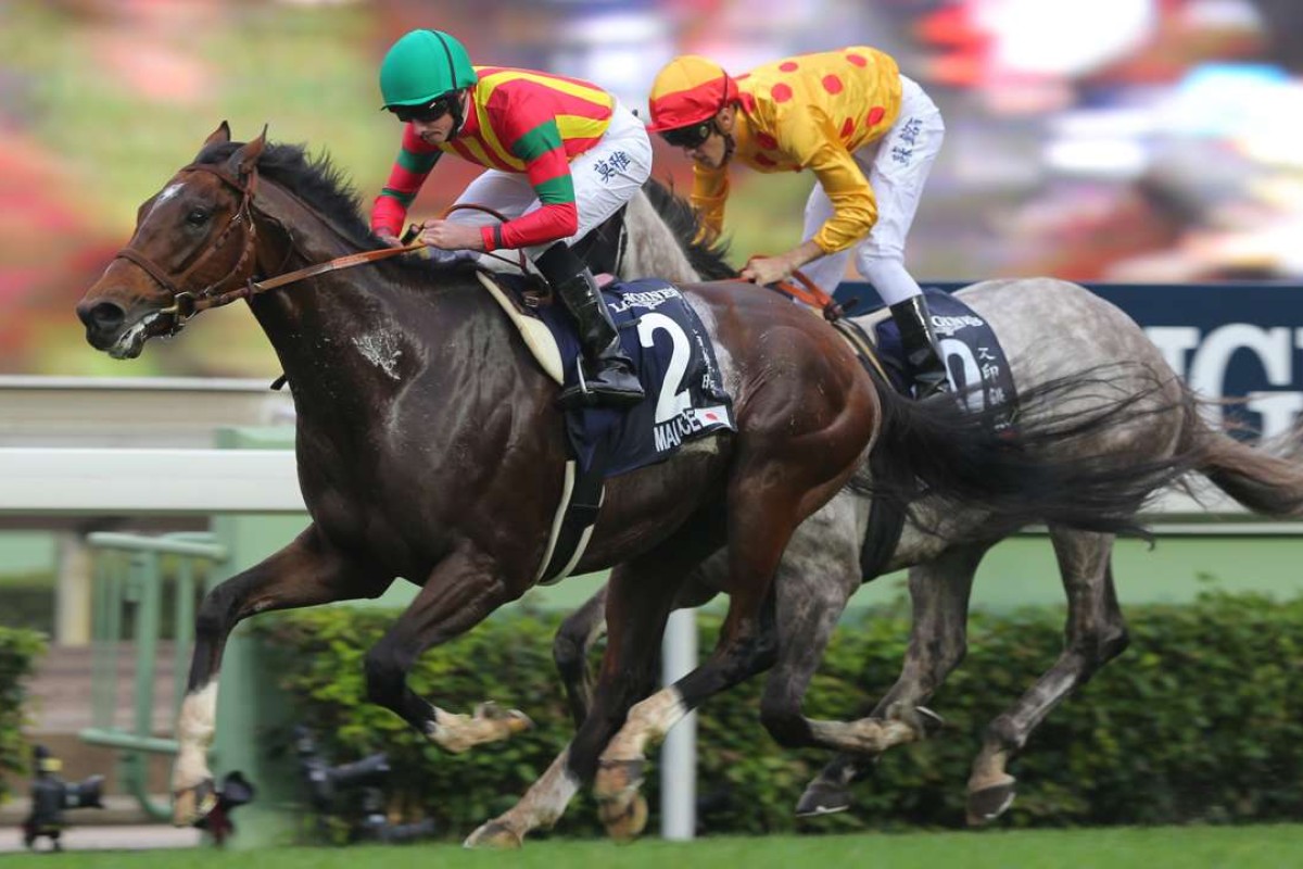 Maurice holds off Giant Treasure to win the Hong Kong Mile in December. The pair clash again in the Champions Mile. Photo: Kenneth Chan
