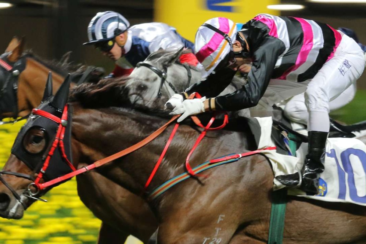 Brett Prebble gets everything out of Ho Ho Feel to win narrowly in January. Photo: Kenneth Chan