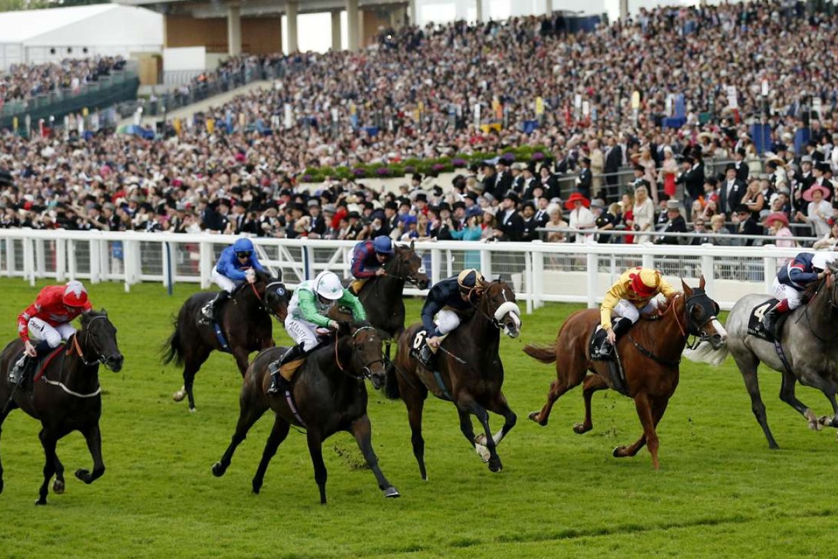 Twilight Son (green and white) bursts through to just hold off Gold-Fun (gold and red) in the Diamond Jubilee Stakes, with Signs Of Blessing splitting them in third. Photo: Reuters