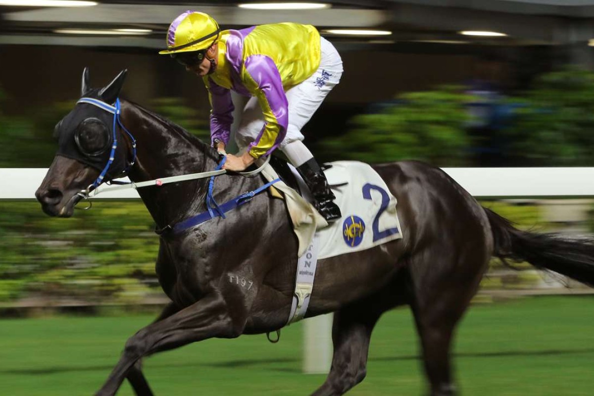 Zac Purton brings Renaissance Art back after winning race six. Photos: Kenneth Chan