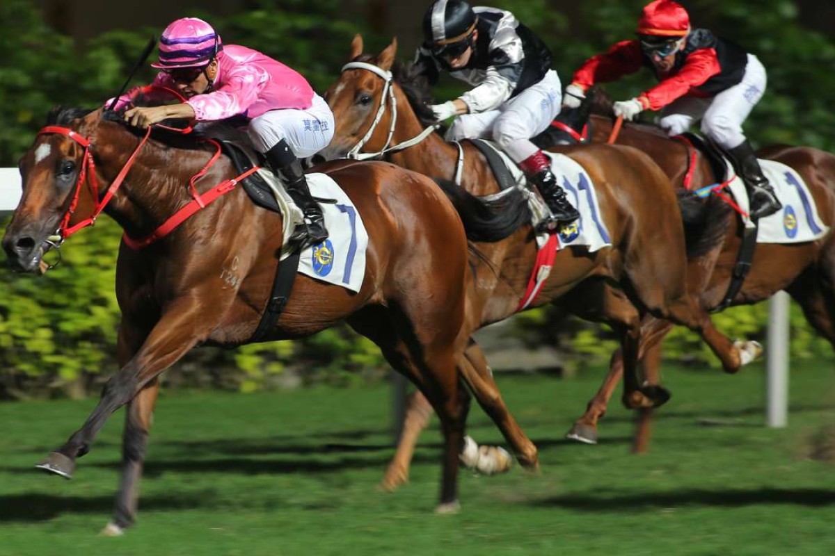 Lucky Year wins a Class Two for Joao Moreira at the Valley in May, but Nash Rawiller rides the favourite in the Luger Handicap tonight. Photos: Kenneth Chan