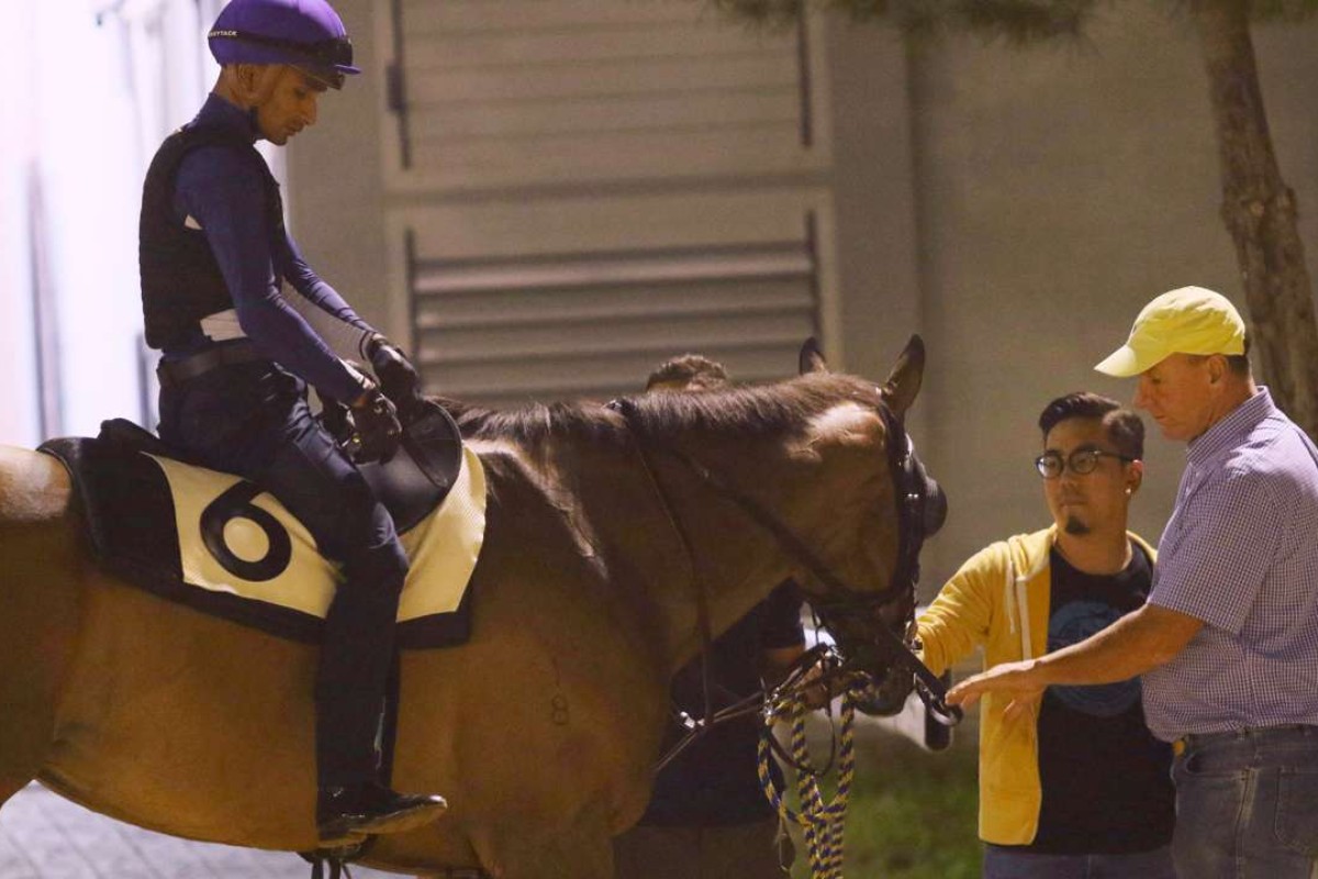 Super Jockey, with Karis Teetan aboard, returns to its stable after a gallop at Seoul Racecourse. Photo: Kenneth Chan