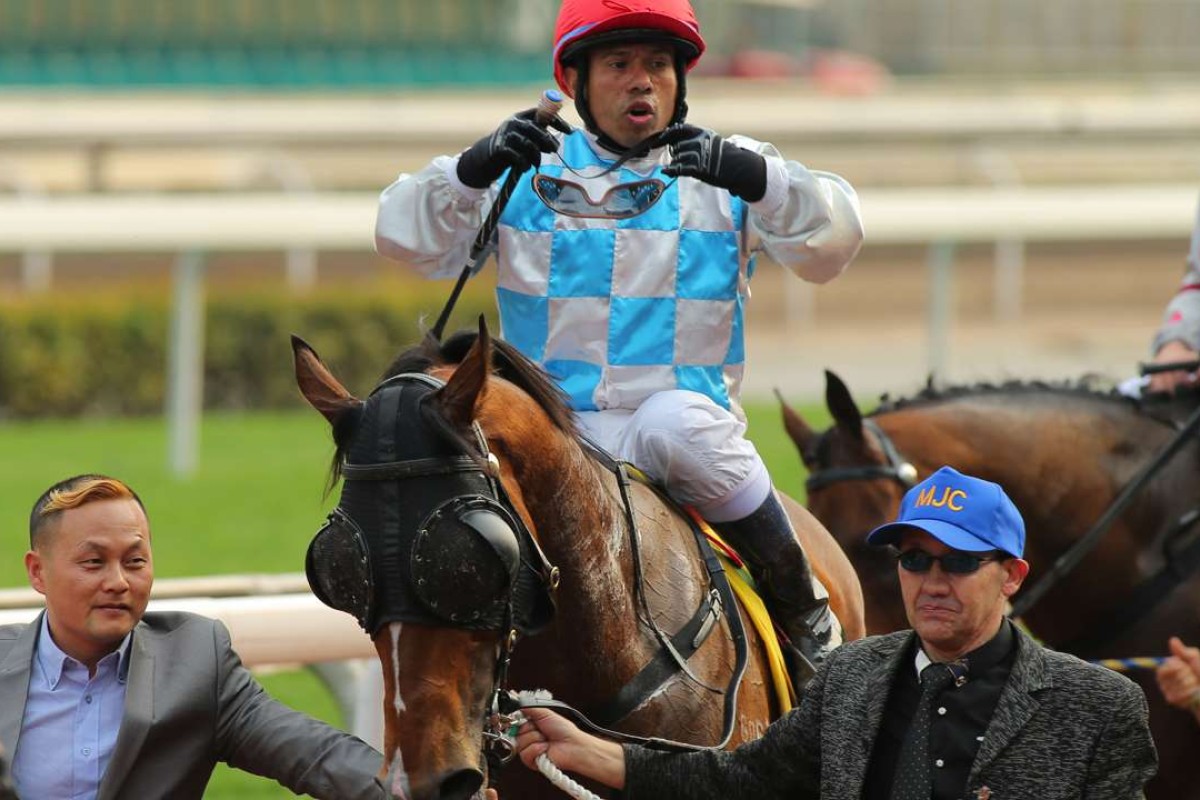 The Alfonso and jockey Louis Corrales are competing in Sunday’s Sa Sa Ladies Purse. Photo: Kenneth Chan.